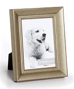 Eleganza - Gilded Silver<br> Roma Photo Frame